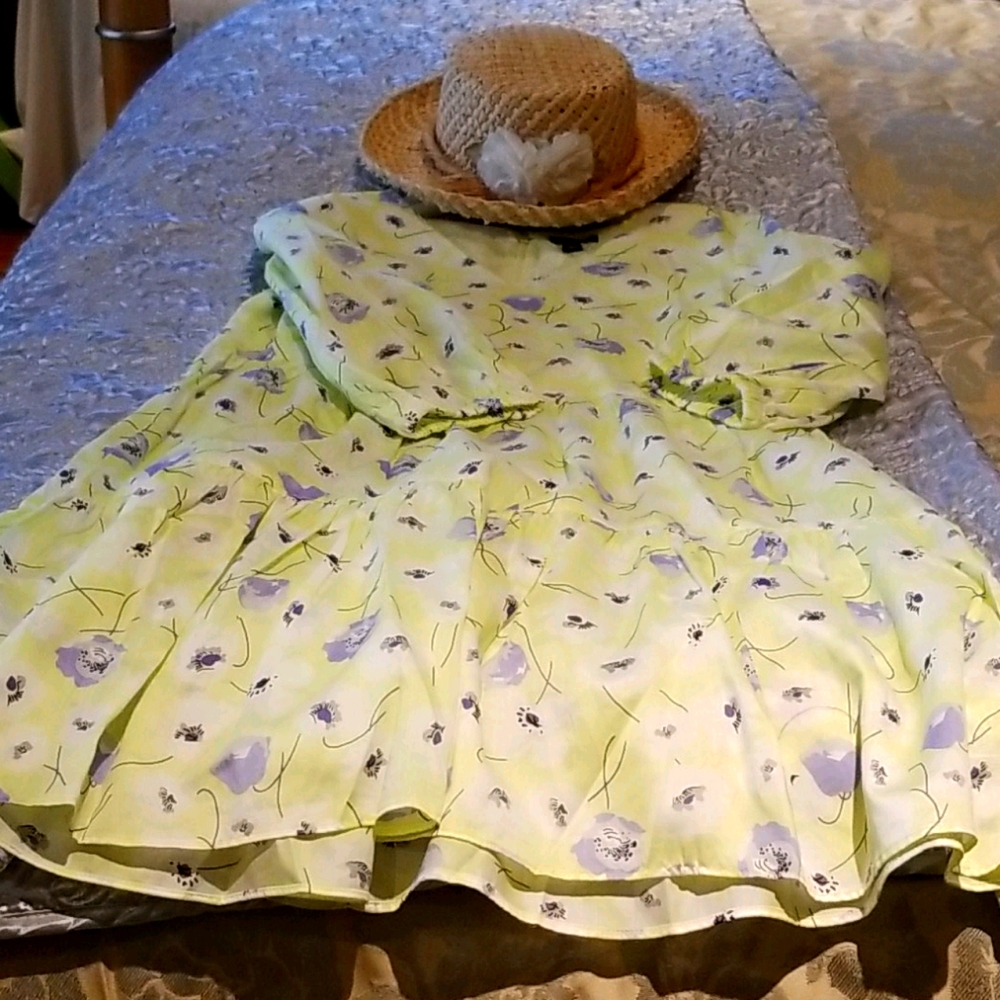 Ann Taylor Gorgeous  dress. - Picture 3 of 5
